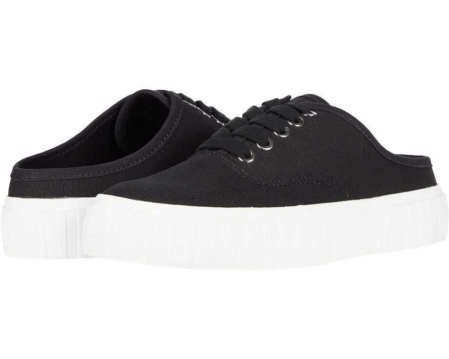 Кроссовки Steve Madden Scotch Sneaker, черный кроссовки ecker sneaker steve madden черный