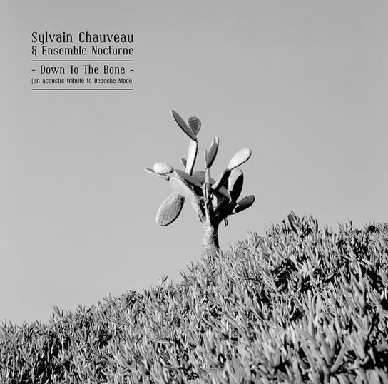 

Виниловая пластинка Chauveau Sylvain - Down To The Bone (An Acoustic Tribute To Depeche Mode)
