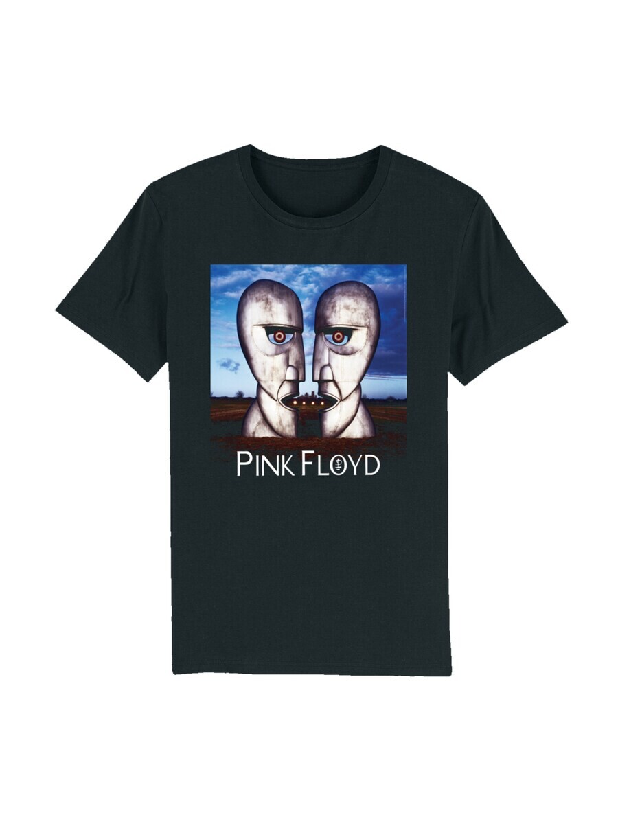 

Футболка F4NT4STIC Pink Floyd The Division Bell, смешанные цвета/черный