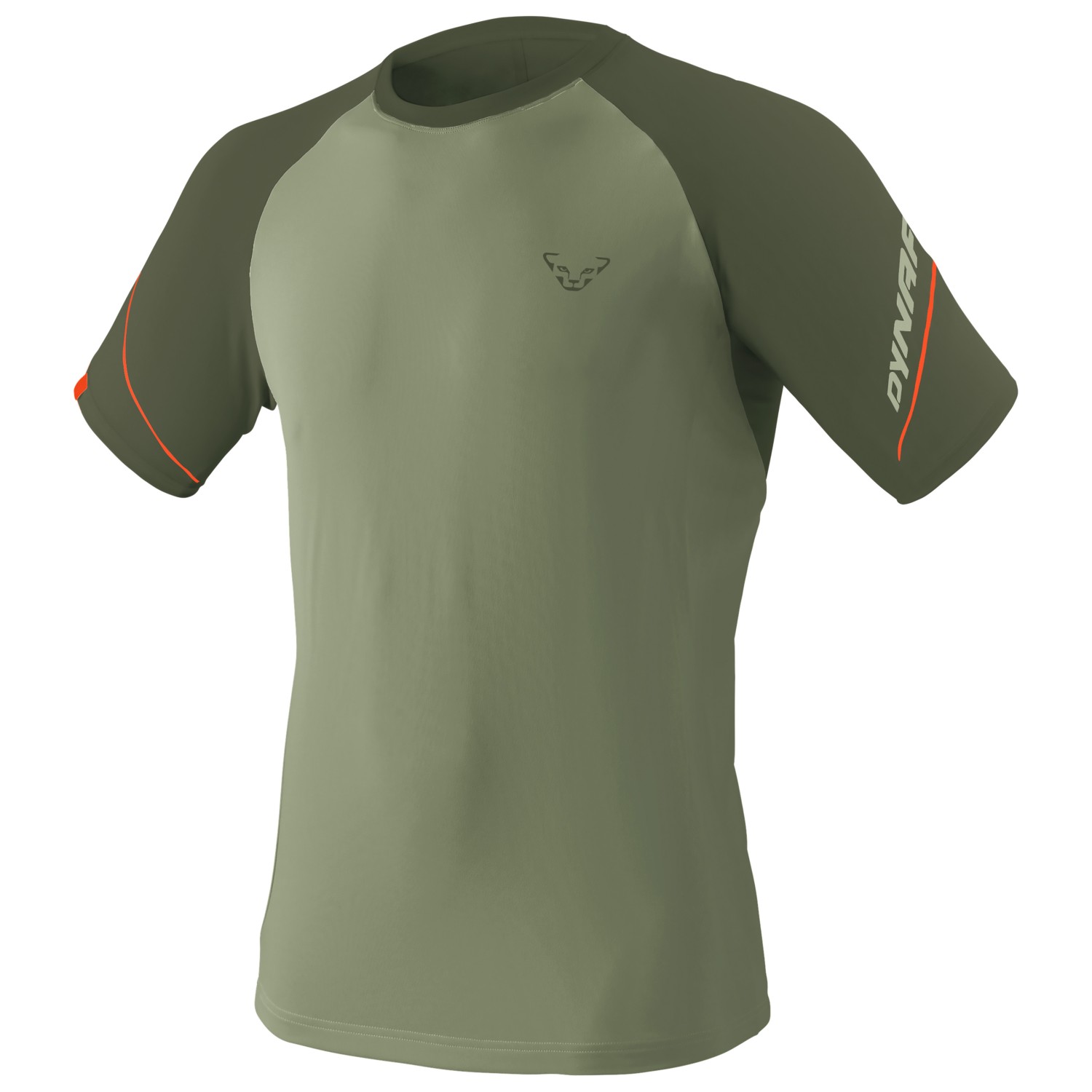 Беговая рубашка Dynafit Alpine Pro S/S Tee, цвет Sage/5560 шайю клементина ксавье джессика мой блокнот hiit тренировка