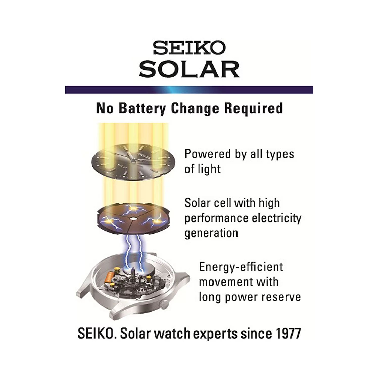 Мужские двухцветные часы-хронограф из нержавеющей стали с солнечной батареей - SSC139 Seiko