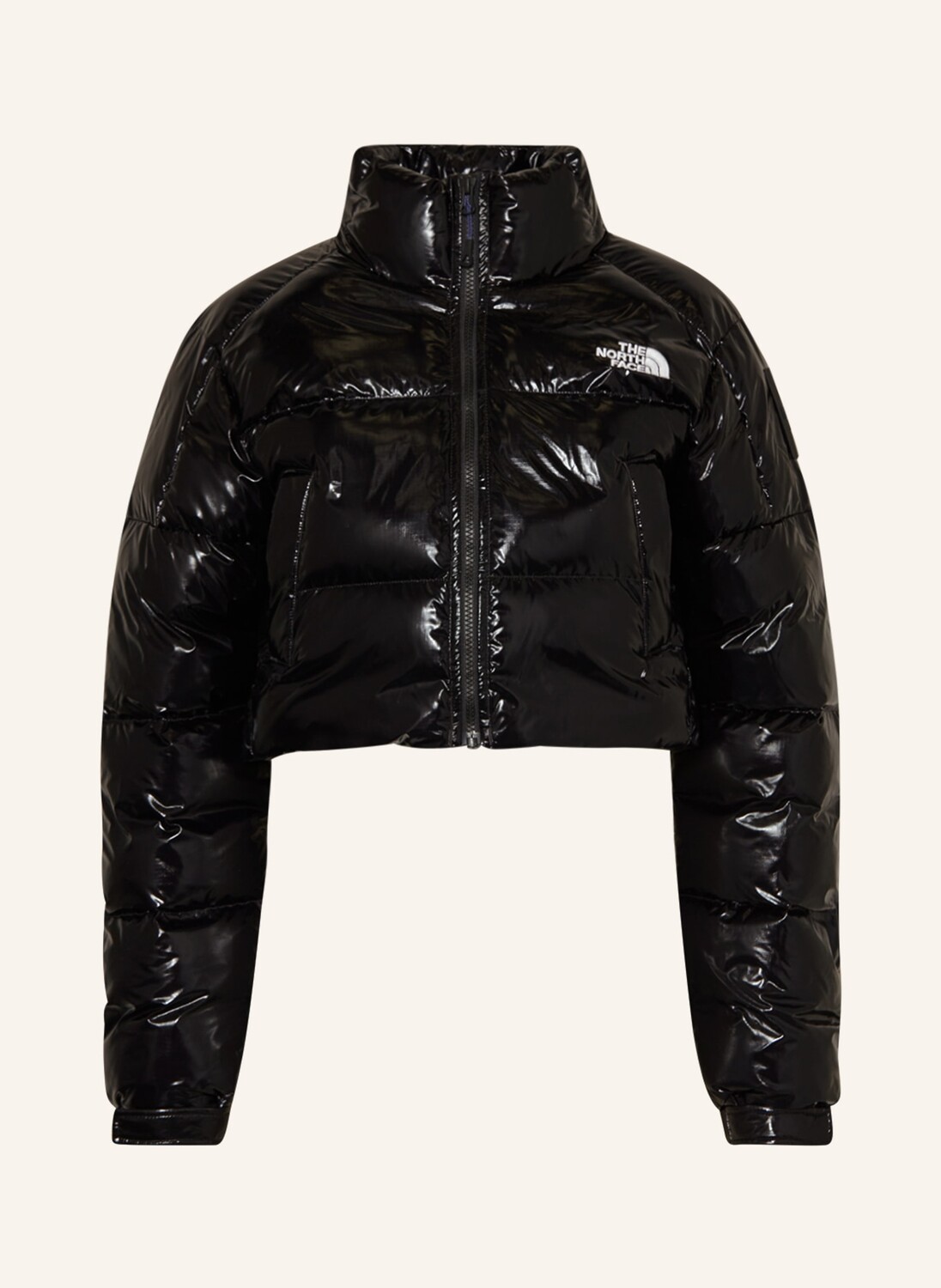

Куртка THE NORTH FACE RUSTA 2.0, черный