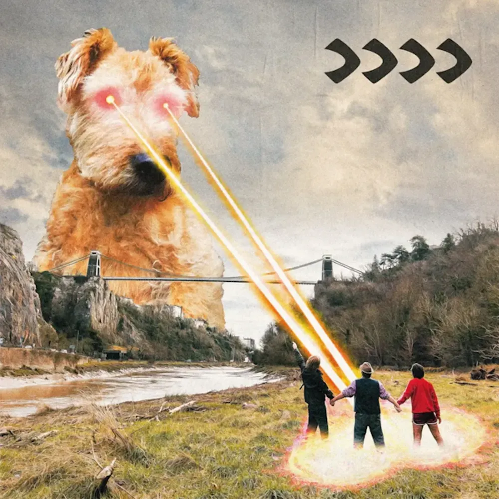 

Виниловая пластинка LP >>>> - Beak>
