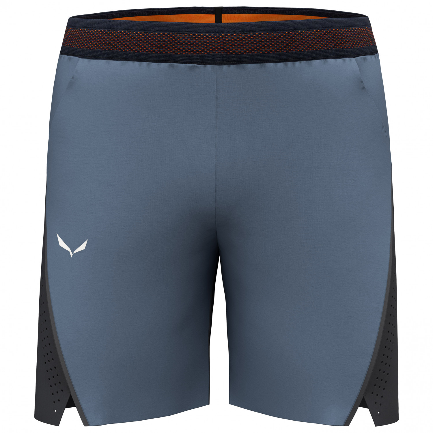 Шорты для бега Salewa Pedroc 2 DST Shorts, цвет Java Blue