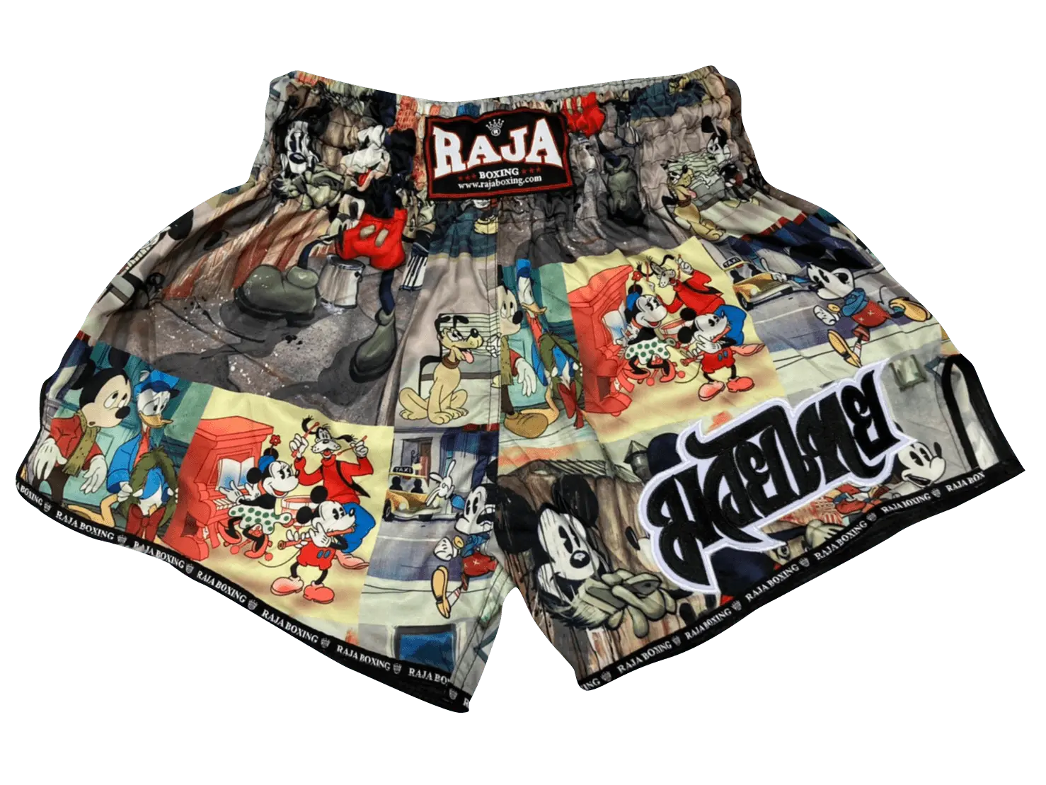 

Шорты Raja See R158
