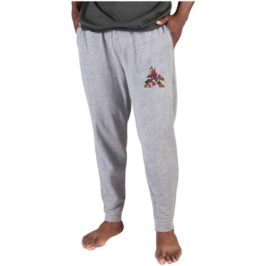 

Брюки Concepts Sport Arizona Coyotes, серый