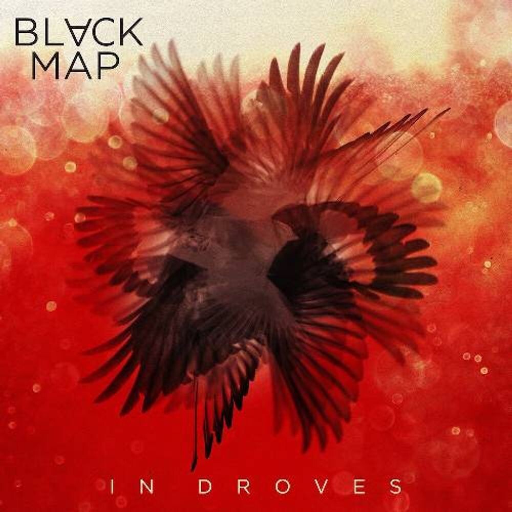 

Диск CD In Droves - Black Map