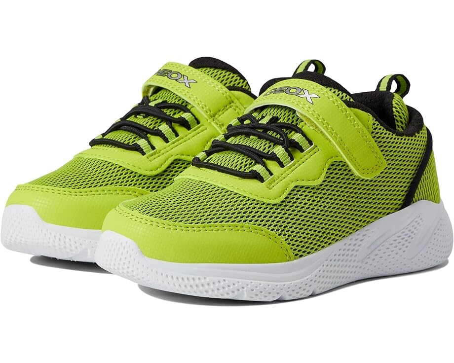 

Кроссовки Geox Sprintye 7, цвет Lime/Black