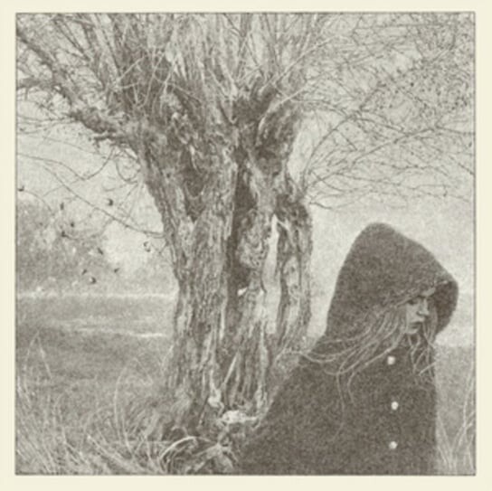 

Виниловая пластинка Lankum - Between The Earth And Sky