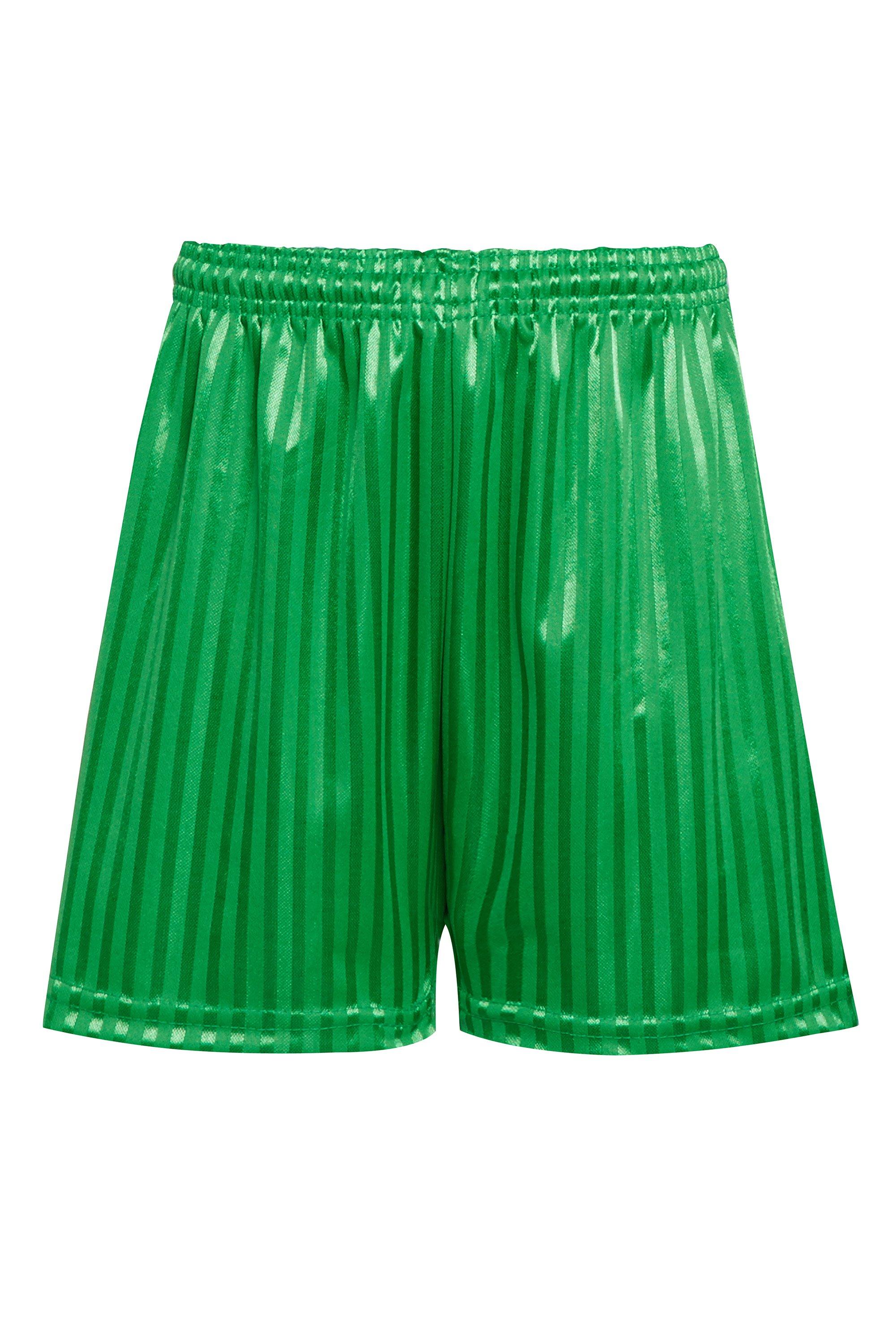 Спортивные шорты David Luke, зеленый спортивные шорты david luke синий