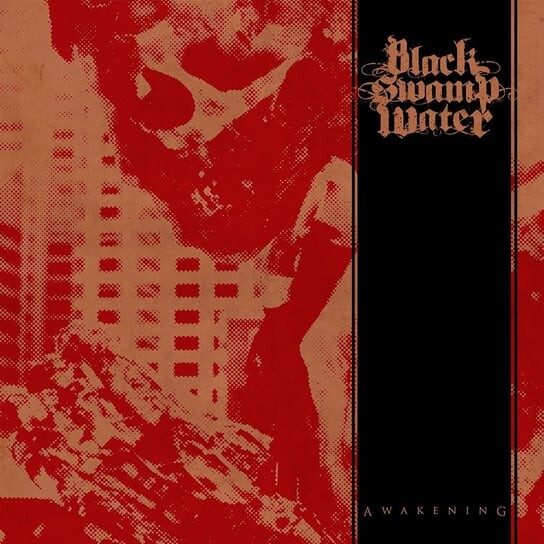 

Виниловая пластинка Black Swamp Water - Awakening