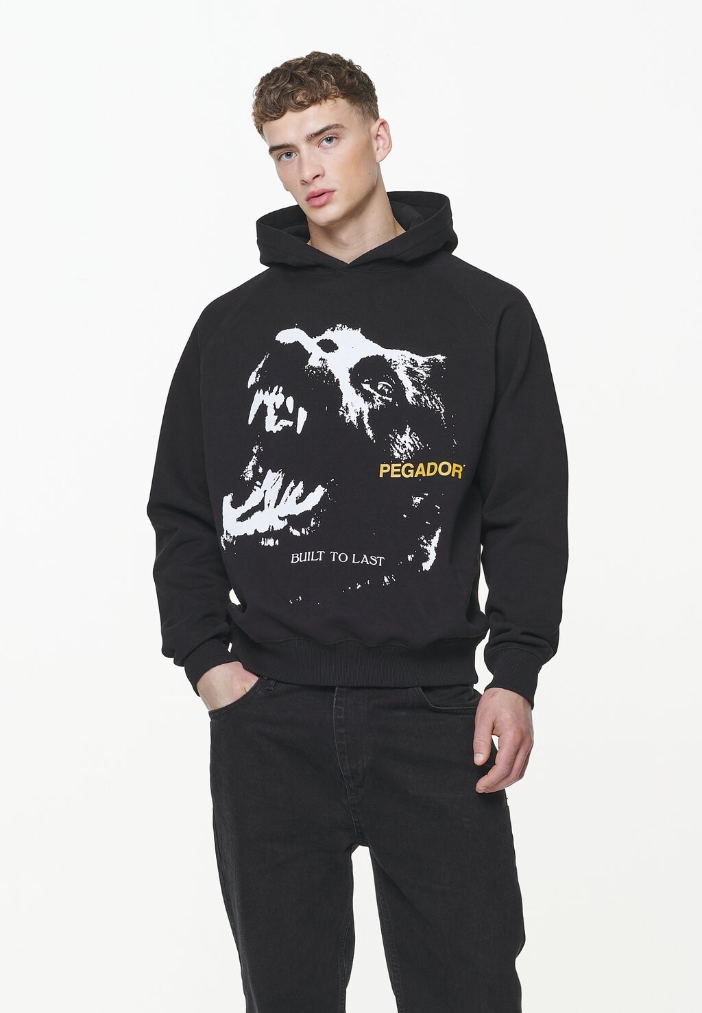

Толстовка Pegador NETHER RAGLAN HOODIE, винтажный оникс черный