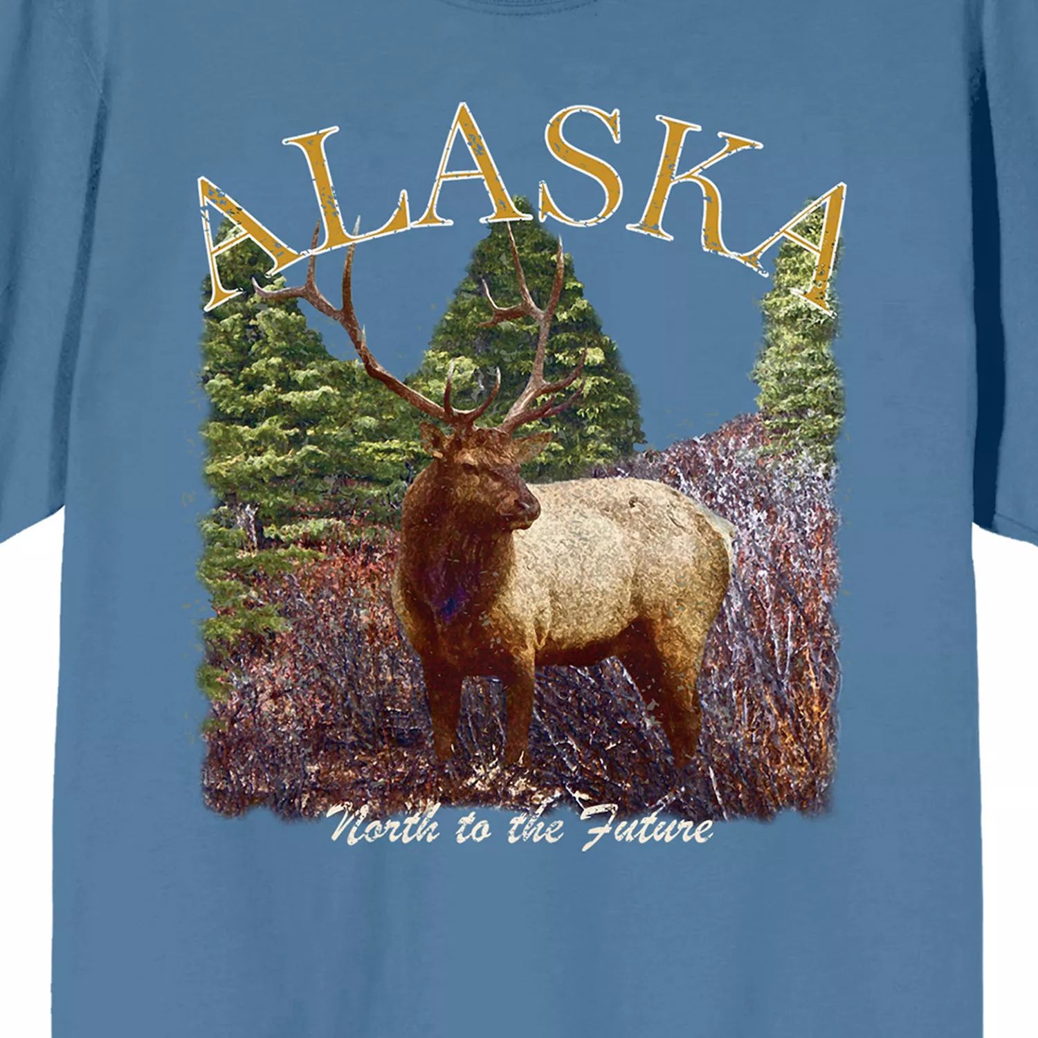 Футболка Men's Adventure Society Alaska Licensed Character