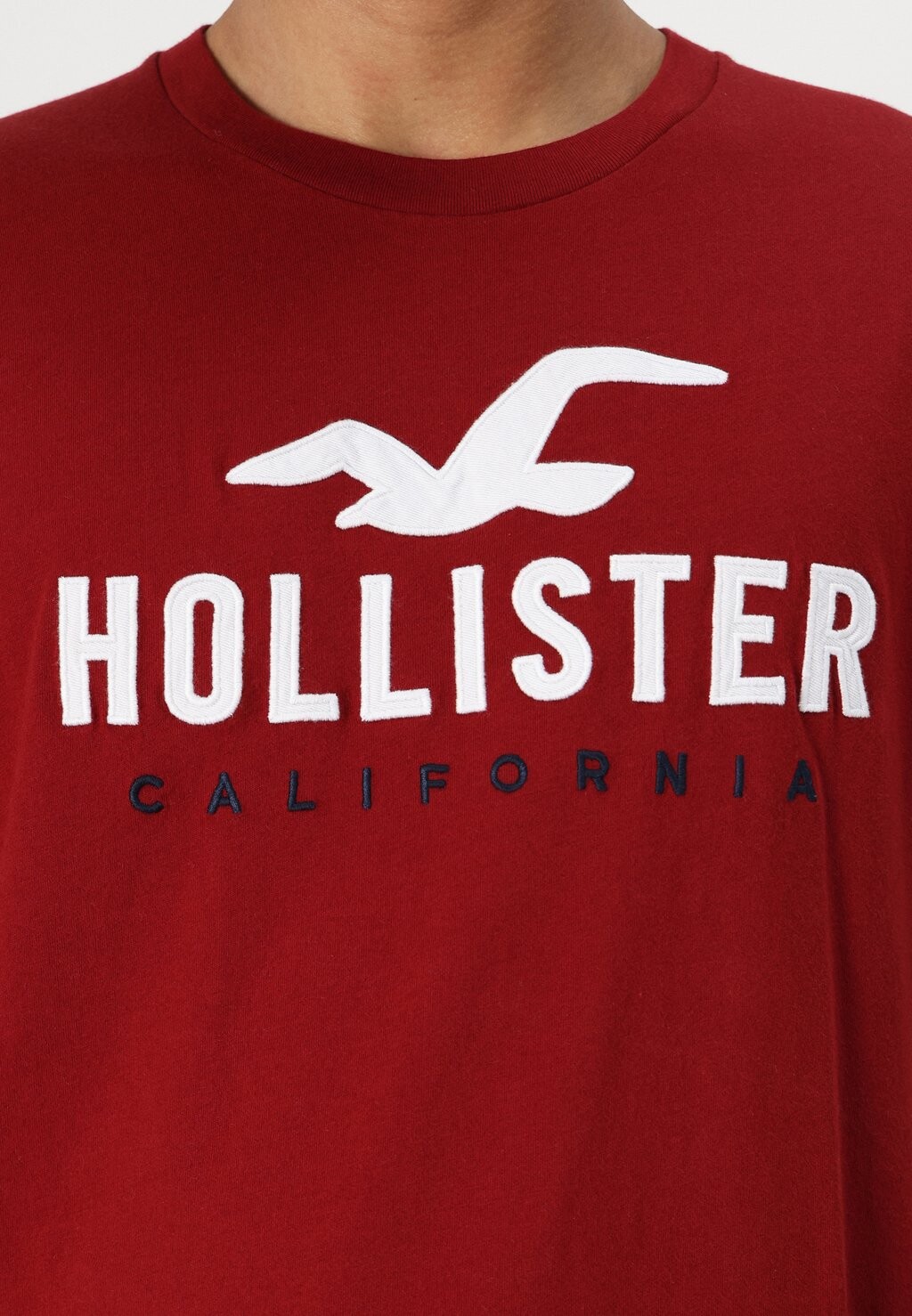 

Базовая футболка TECH LOGO UPDATE Hollister Co., красный