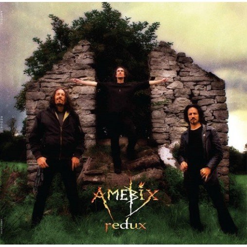 Виниловая пластинка Amebix - Redux