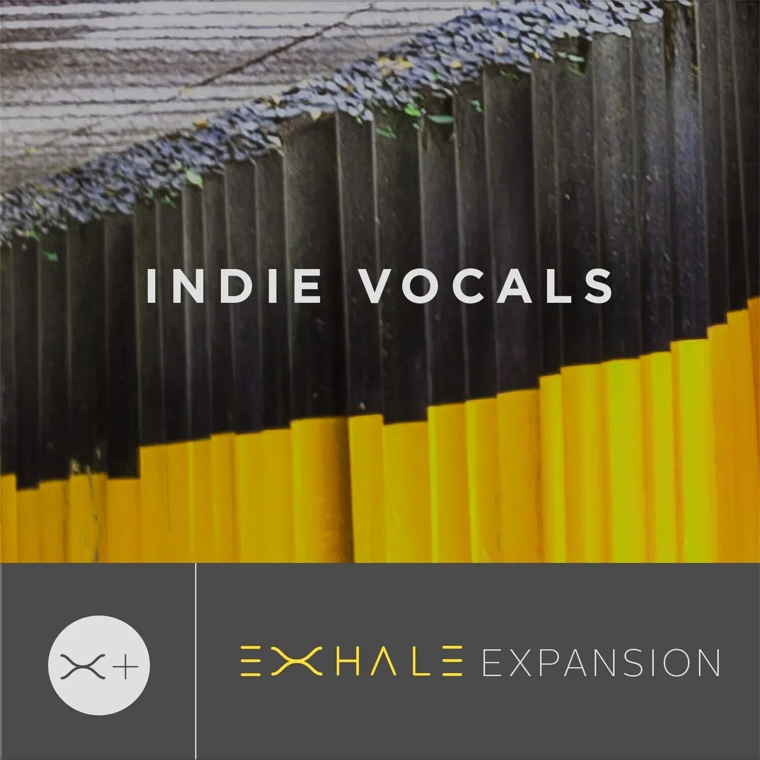 

Пакет расширения Output Indie Vocals для Exhale