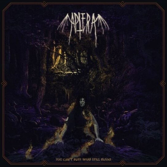 цена Виниловая пластинка Aptera - You Can't Bury What Still Burns