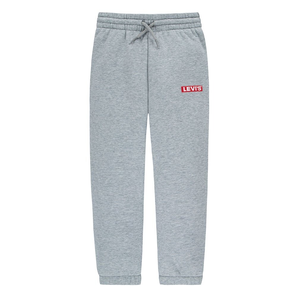 

Джоггеры Levi´s Boxtab, серый