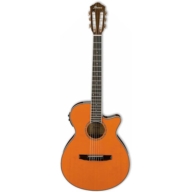 

Акустическая гитара Ibanez AEG10NII-TNG - Classical Acoustic/Electric Thin Body Guitar - Natural Gloss Finish