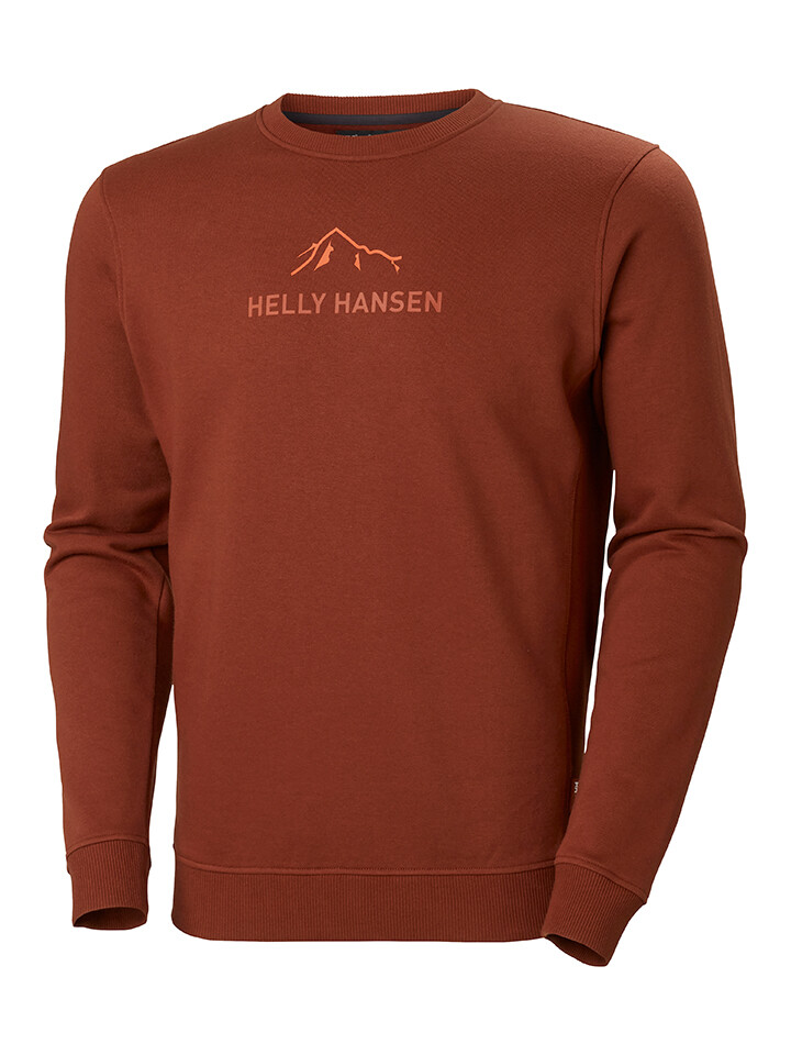 

Толстовка Helly Hansen F2F, светло-коричневый