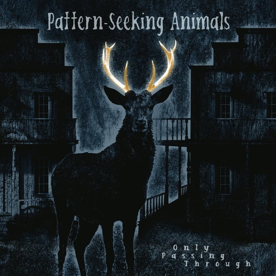 Виниловая пластинка Pattern-Seeking Animals - Only Passing Through