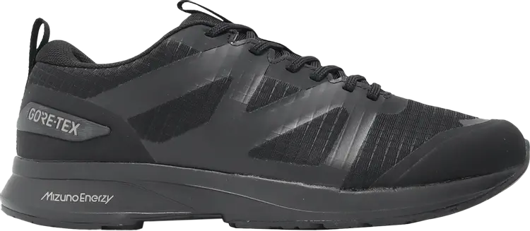 

Кроссовки ME-05 GORE-TEX 2 'Triple Black', черный