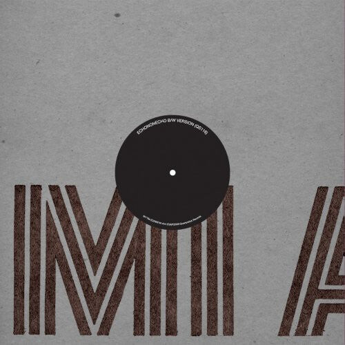 

Сингл 12" Mi Ami: Echononecho