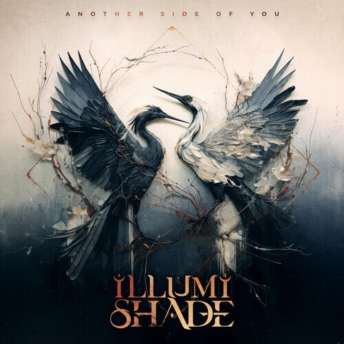 

CD диск Illumishade: Another Side Of You