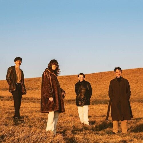

Виниловая пластинка Fur - When You Walk Away