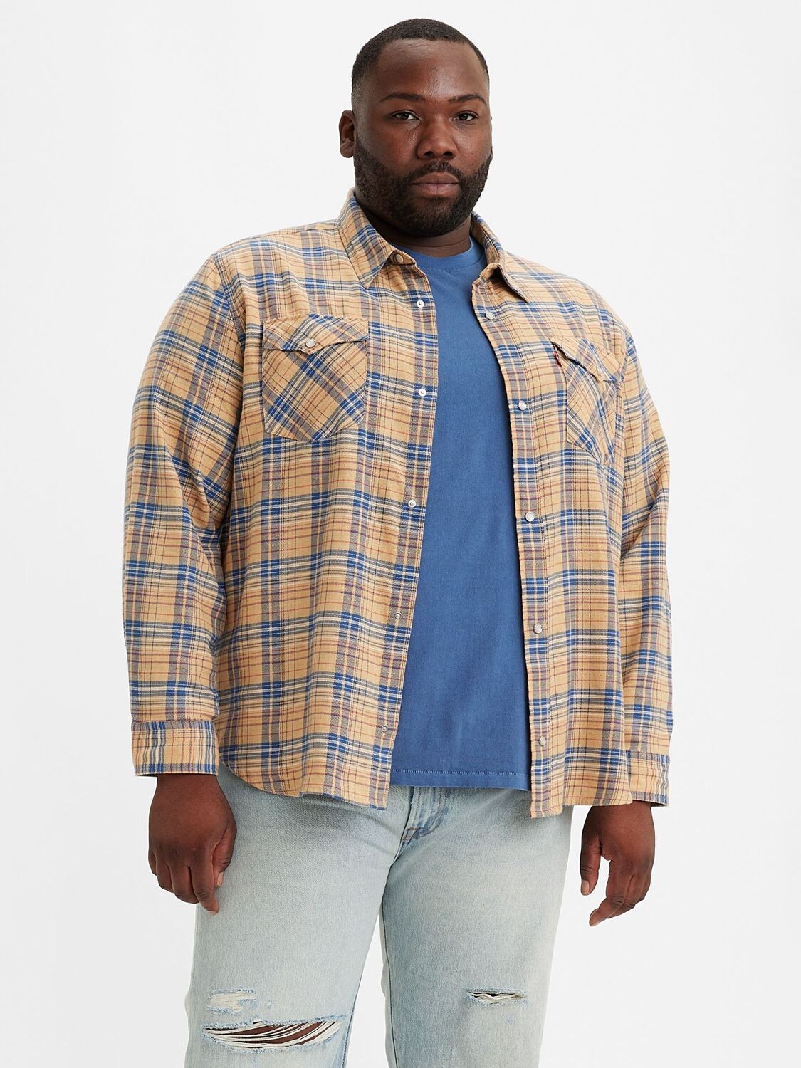 

Рубашка свободного кроя в клетку Levi's Big & Tall, Krishan Plaid Lark, Krishan Plaid Lark