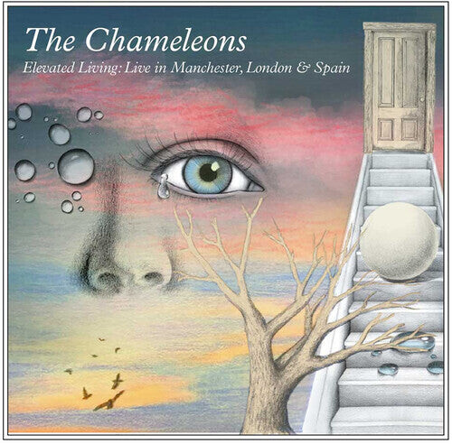 

CD диск Chameleons: Elevated Living