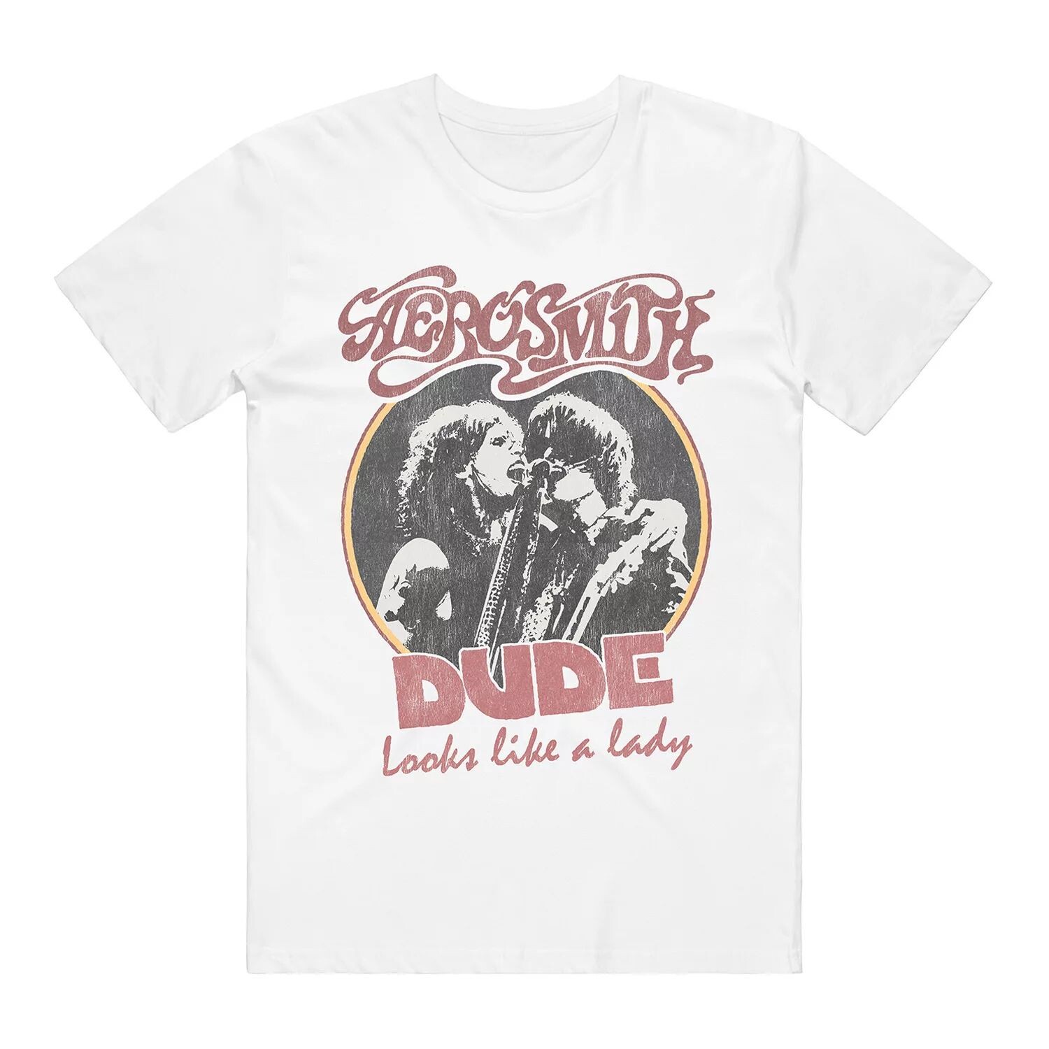

Мужская футболка с рисунком Aerosmith Licensed Character
