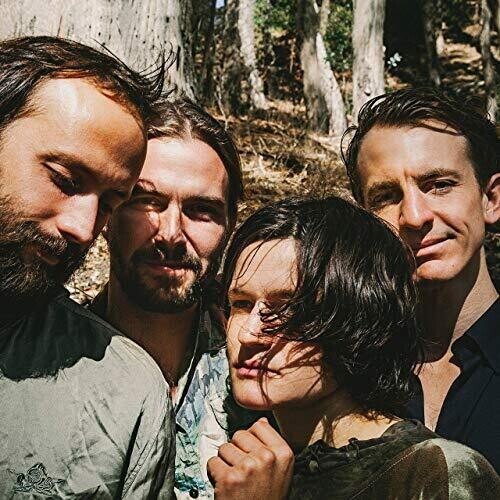 

Виниловая пластинка Big Thief: Two Hands