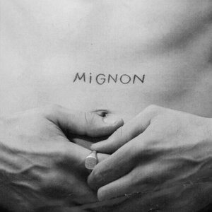 

Виниловая пластинка Peet - Mignon