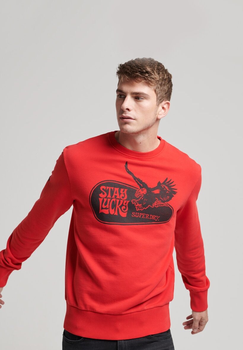 

Толстовка Superdry