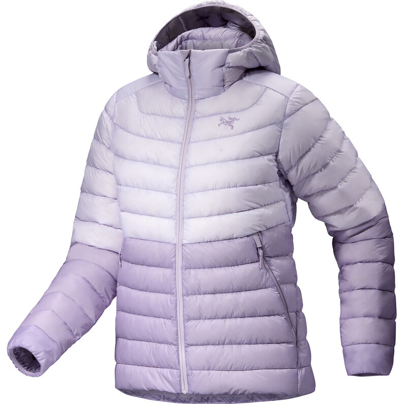 

Женская куртка с капюшоном из церия Arcteryx, фиолетовый