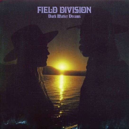 Виниловая пластинка Field Division - Dark Matter Dreams dark matter