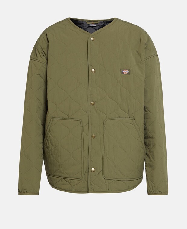 

Межсезонная куртка Dickies, хаки