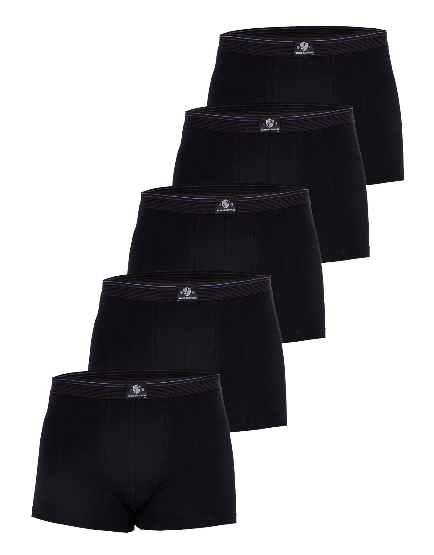 Боксеры Haasis Bodywear 5er-Set: Pants, черный фото