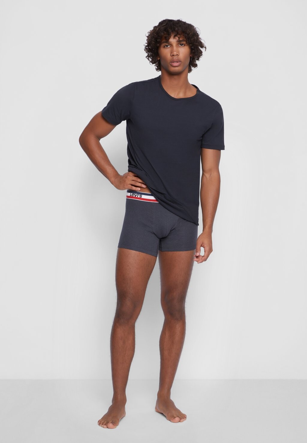 

Трусы MEN LOGO BRIEF 4 PACK Levi's, черный
