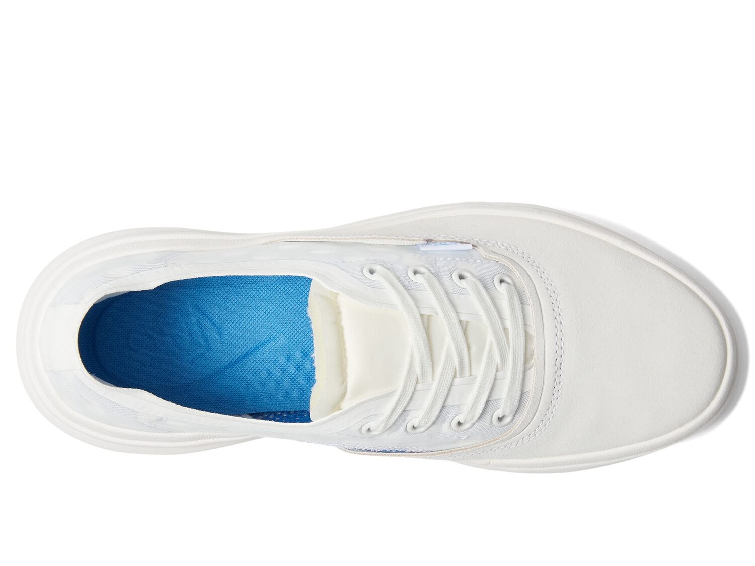 

Кроссовки Vans Authentic Overt CC