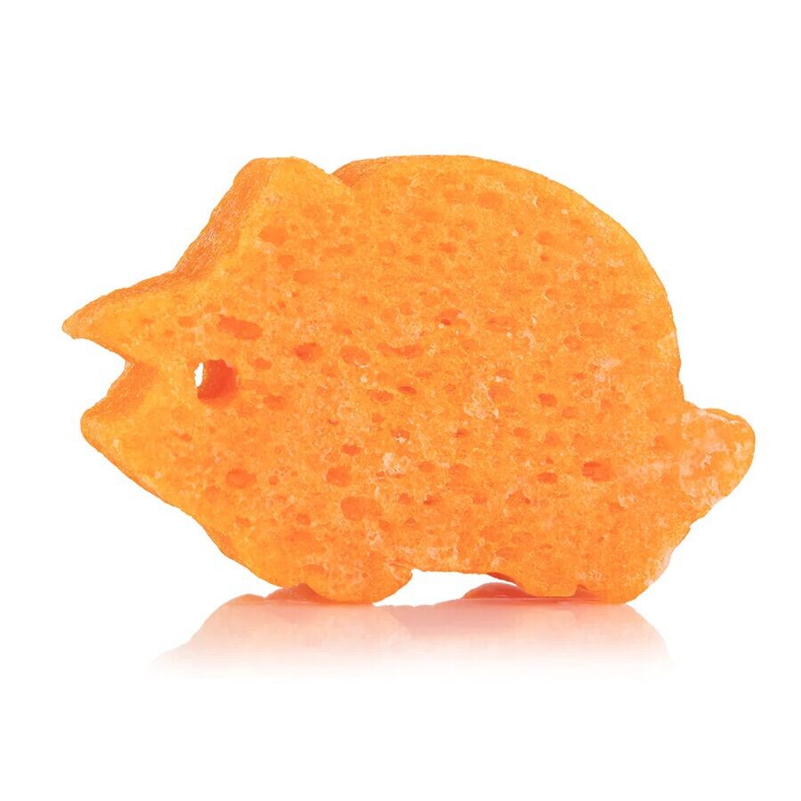

Губка Spongelle Spongesaurus Collection, 1 шт.