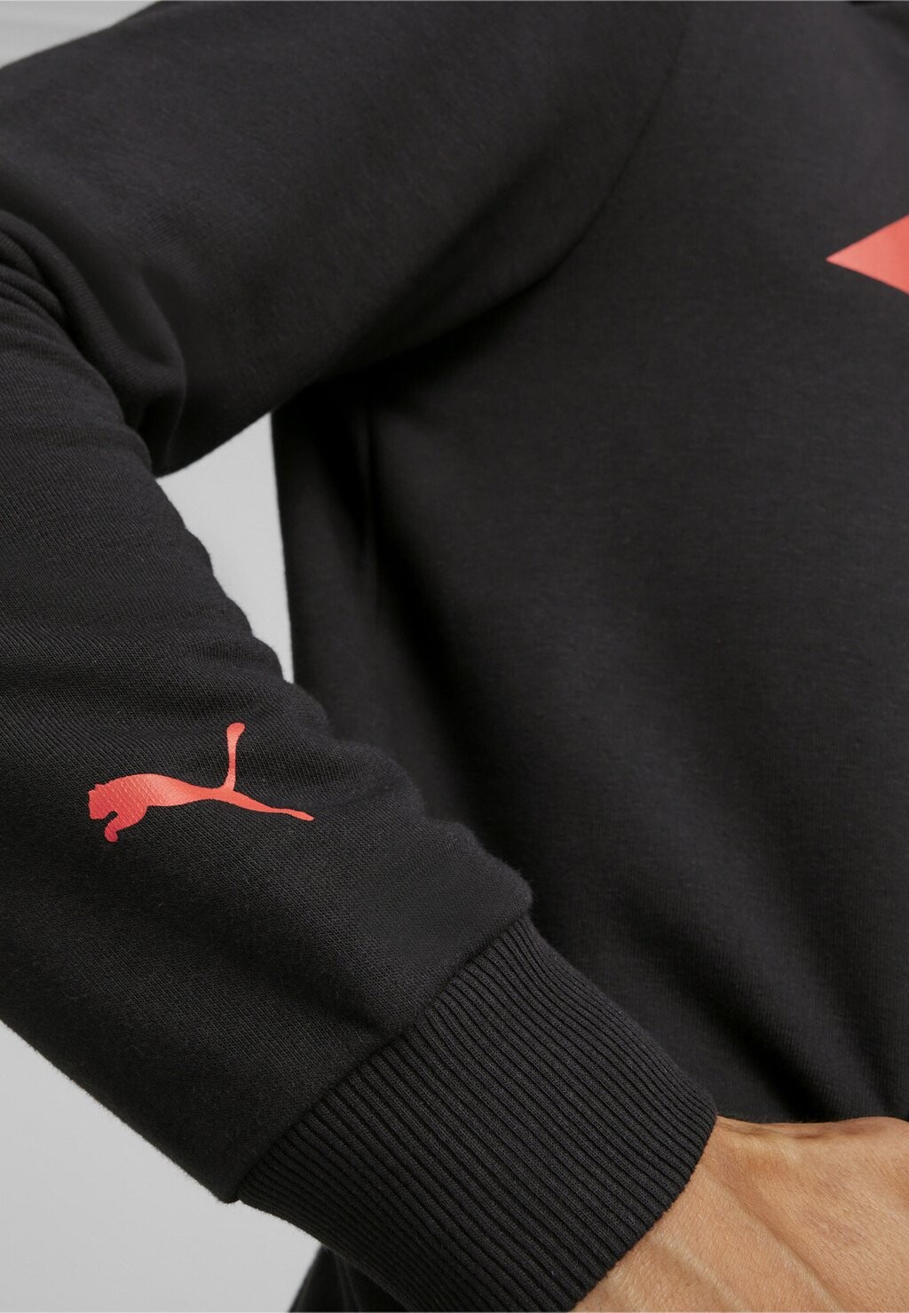 

Толстовка LOGO Puma, цвет puma black