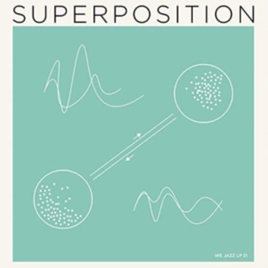 Виниловая пластинка Superposition - Superstition