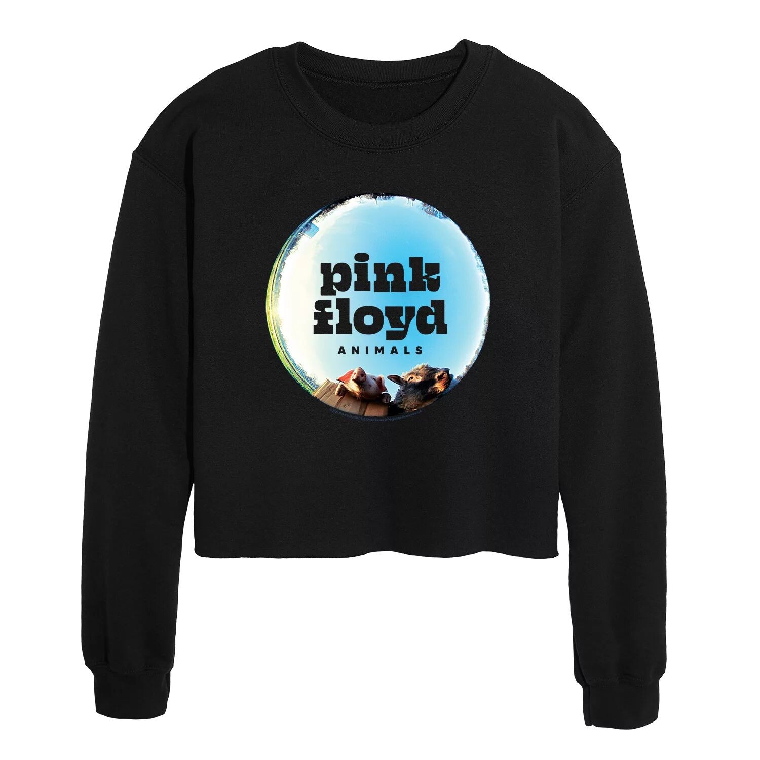 

Укороченный свитшот с рисунком Pink Floyd Animals для юниоров Licensed Character