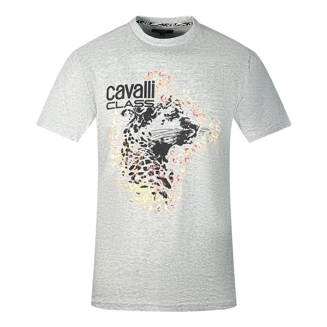 цена Серая футболка с леопардовым принтом Profile Design Cavalli Class, серый