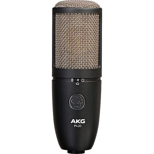 

Конденсаторный микрофон AKG P170 Small Diaphragm Cardioid Condenser Microphone