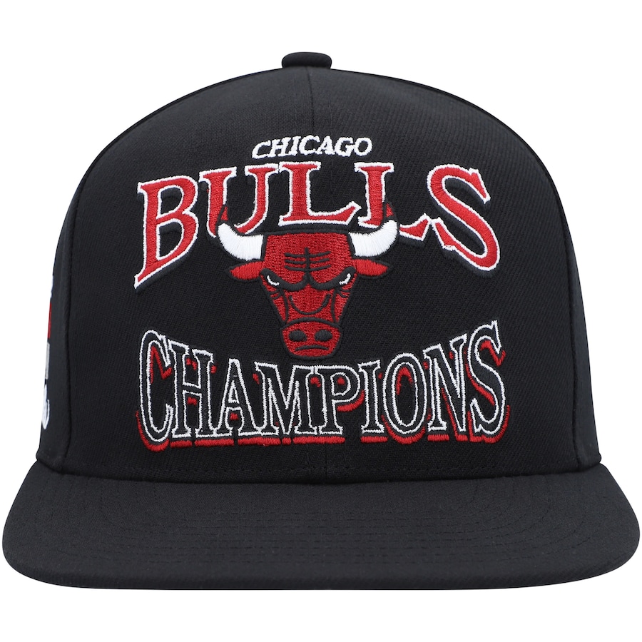 Chicago bulls 1996