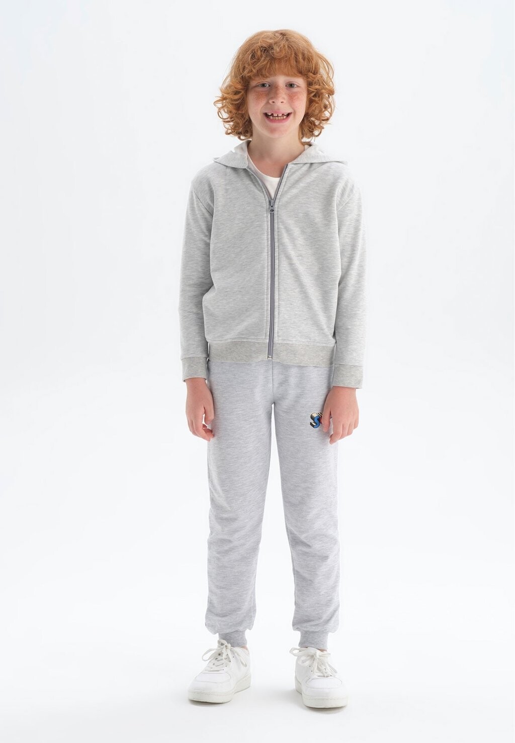 

Толстовка HOODED REGULAR DAGI, цвет grey