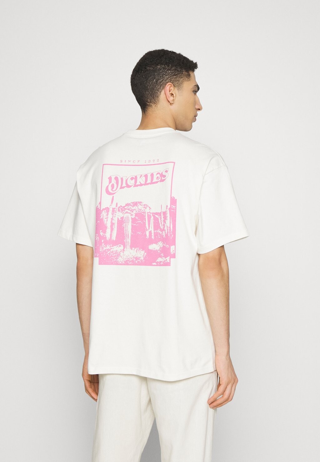 

Футболка с принтом Dickies